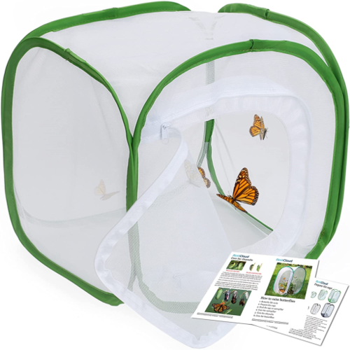 Restcloud RESTCLOUD 3-Pack Large Monarch Butterfly Habitat