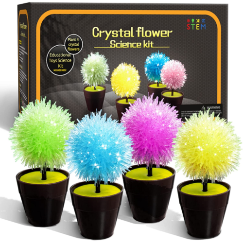 GobiDex Crystal Growing Kit ( 5 colors )